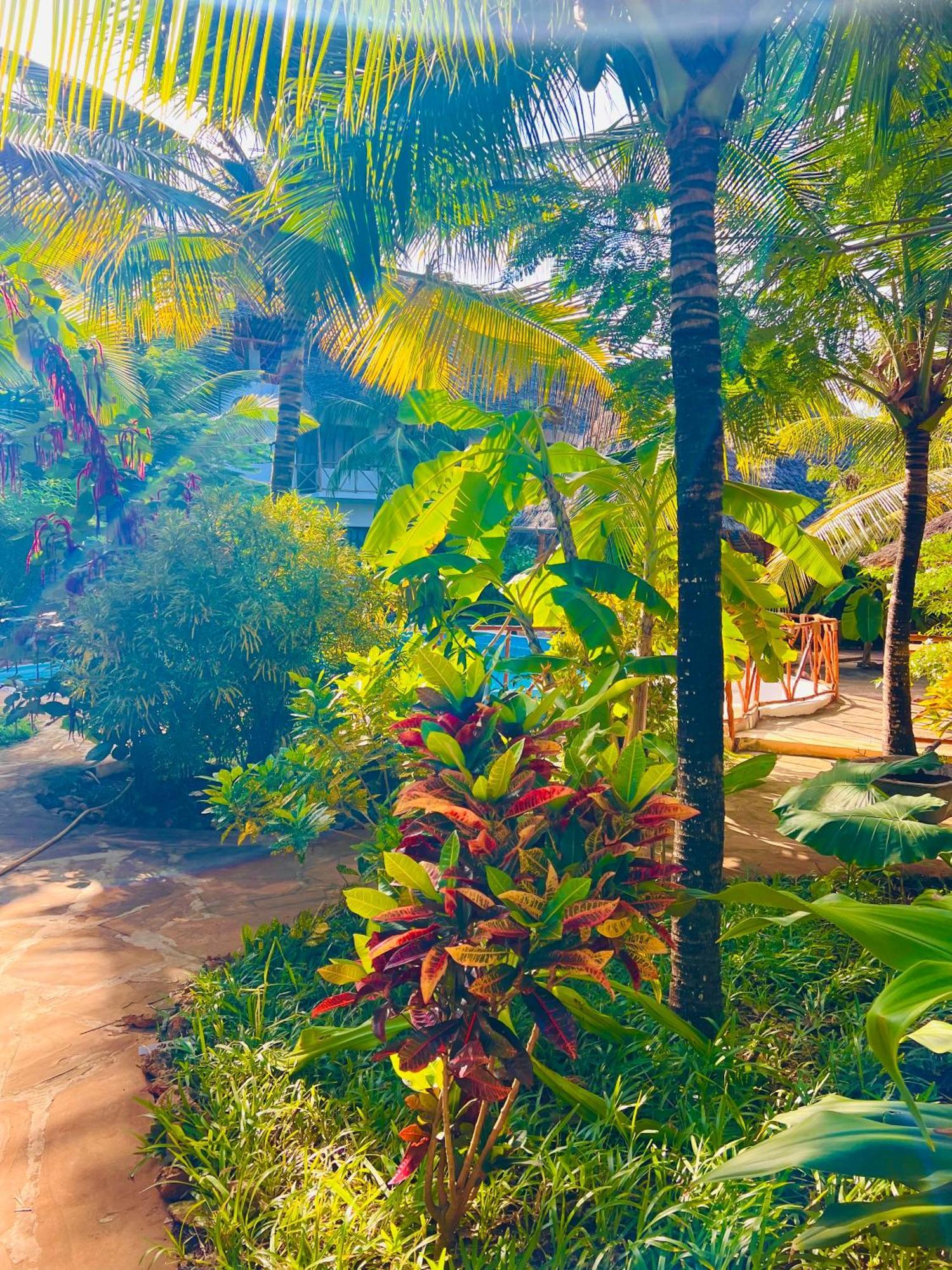 Hotel Tropical Nungwi Zewnętrze zdjęcie