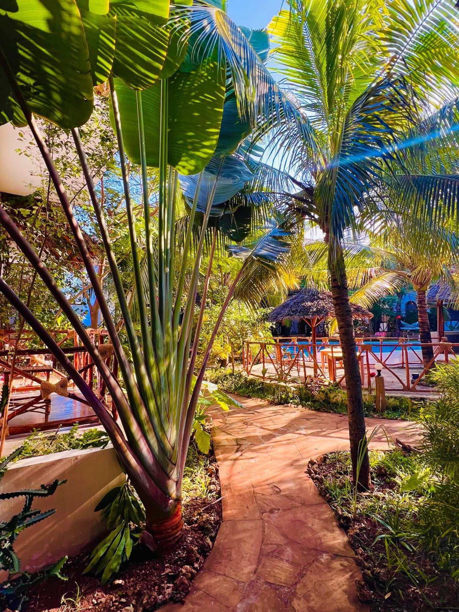 Hotel Tropical Nungwi Zewnętrze zdjęcie