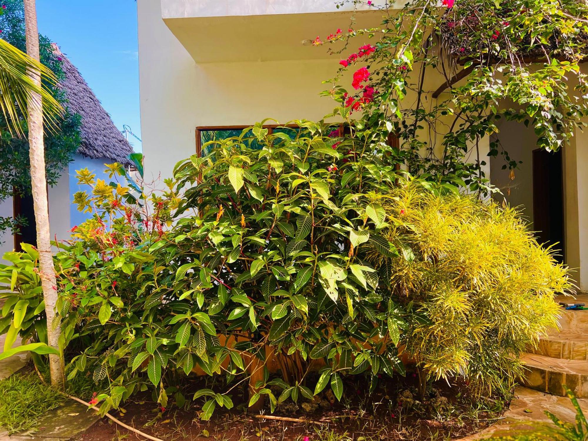 Hotel Tropical Nungwi Zewnętrze zdjęcie
