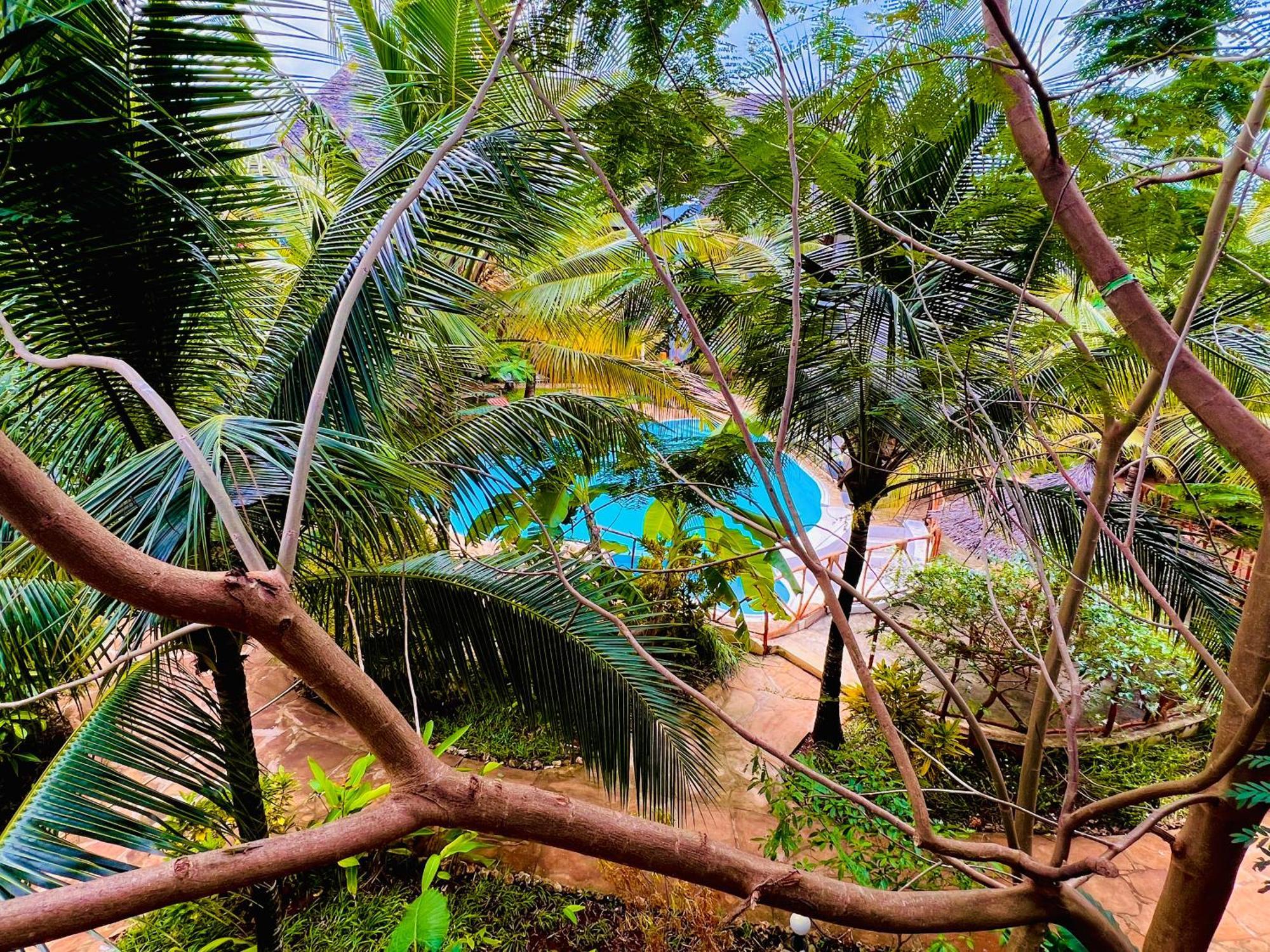 Hotel Tropical Nungwi Zewnętrze zdjęcie