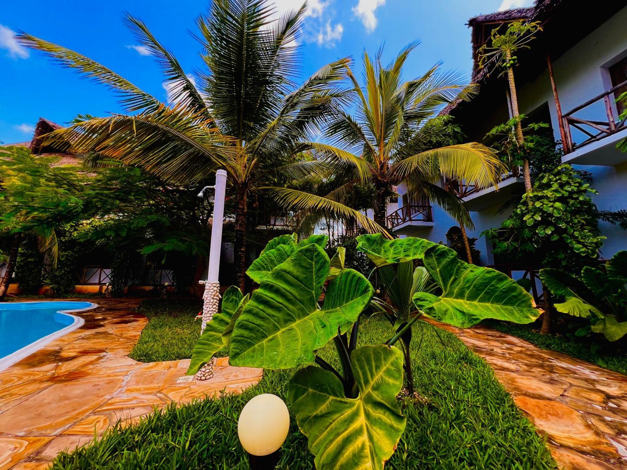 Hotel Tropical Nungwi Zewnętrze zdjęcie