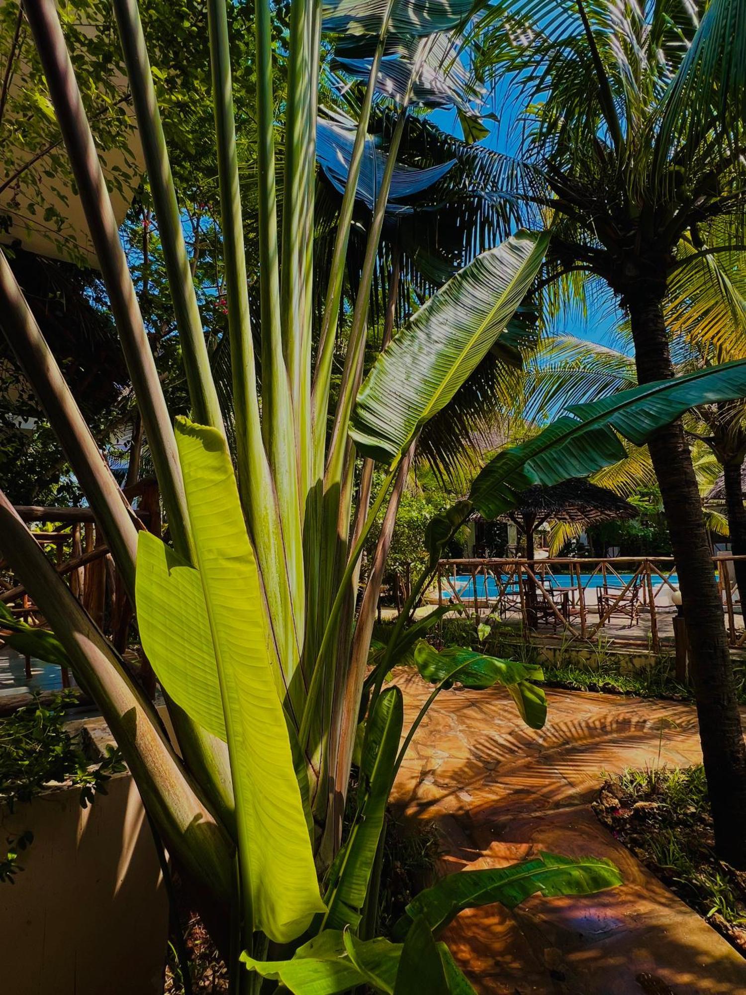 Hotel Tropical Nungwi Zewnętrze zdjęcie